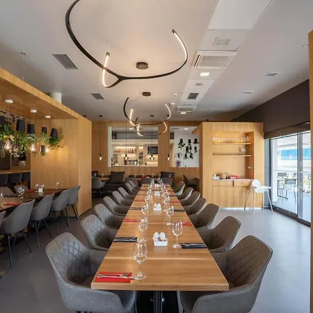 Ibis Plzen