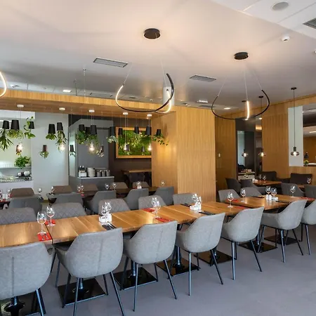 Ibis Plzen
