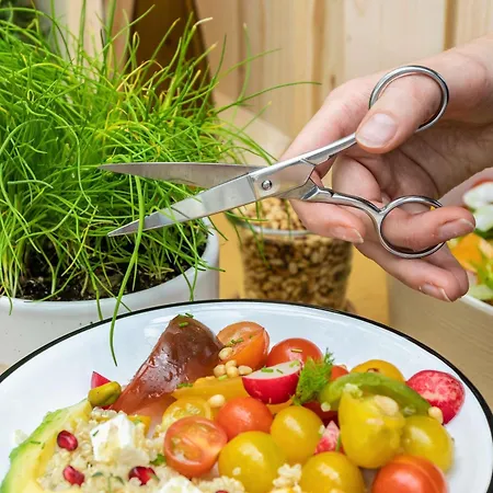 比尔森宜必思酒店