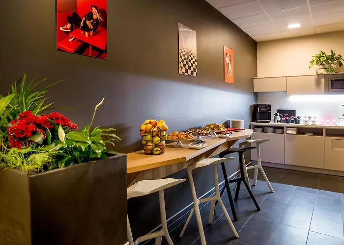Ibis Plzeň